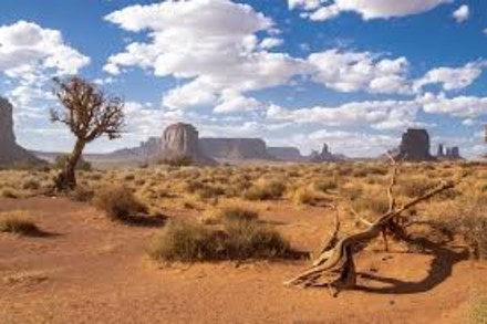 Arizona, sulla route 66 alla ricerca del vecchio West