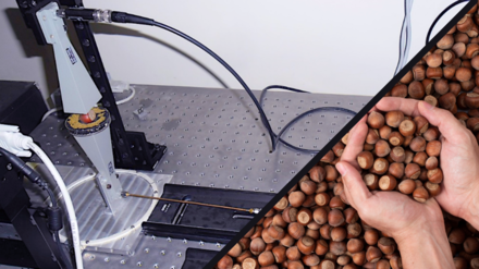 Da oggi mandorle, nocciole e pistacchi solo di qualit&agrave;