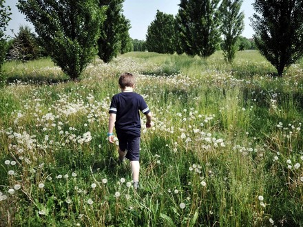 Salute, Bambini di campagna più a rischio diabete